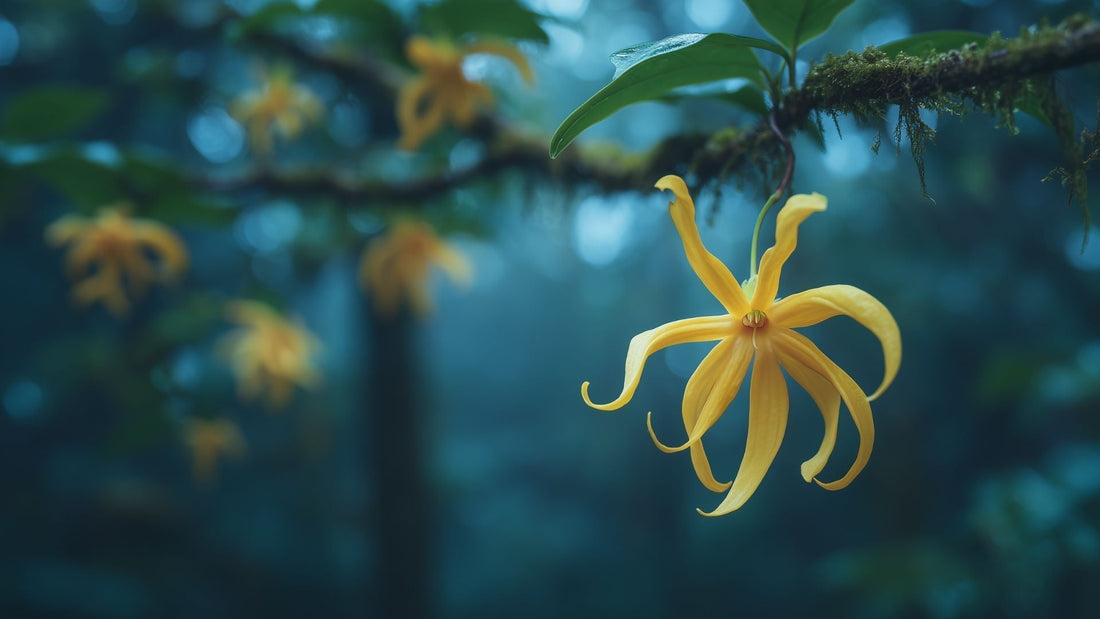 A yellow flower with drooping petals hangs from a tree branch covered by moss in a tropical rainforest setting.