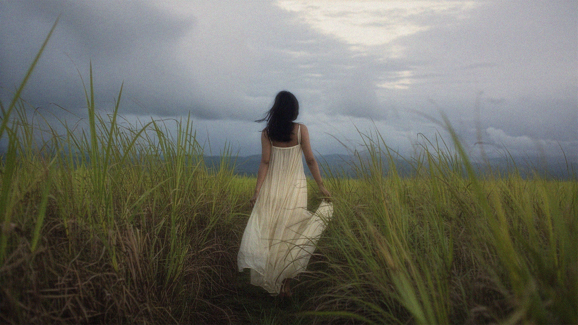 A woman wearing a light white dress is seen from behind, walking through a lemongrass field. The sky shows an upcoming storm in the background.