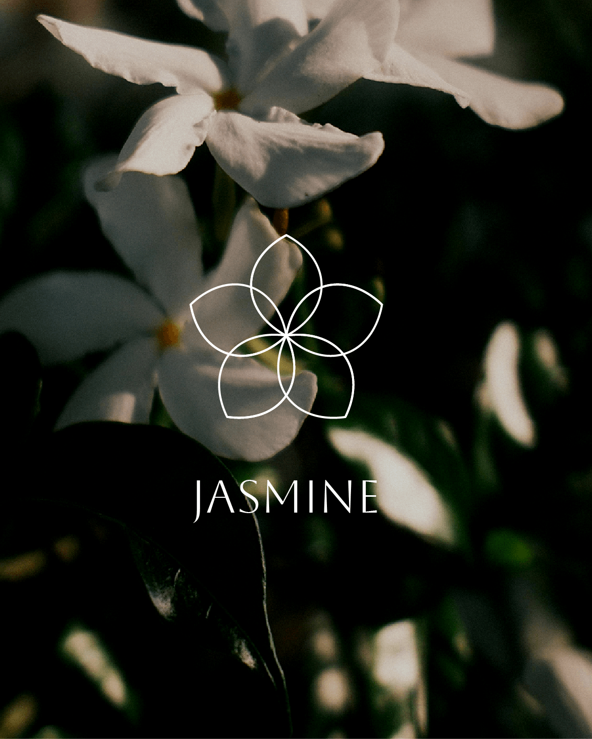 Jasmine