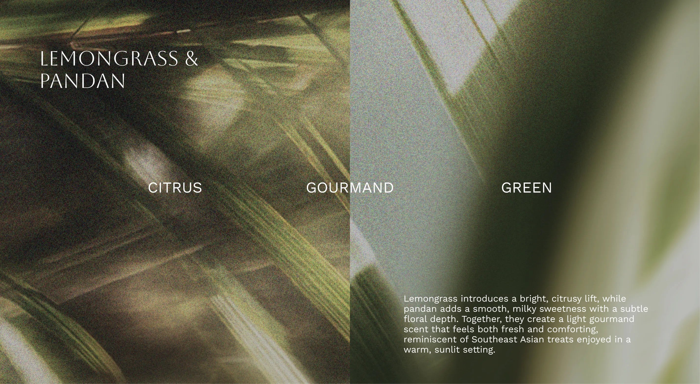 Close-up of lemongrass and pandan leaves with text overlay.