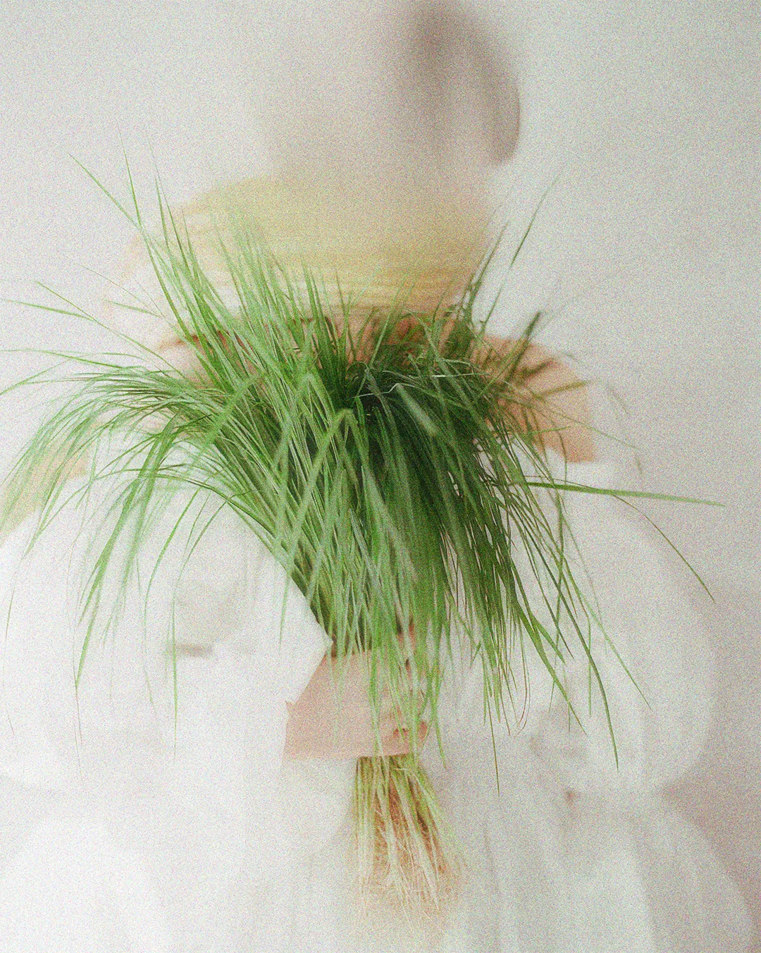 Person holding a bouquet of green grass against a light background
