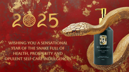 A golden snake curling around a bottle of Belantara Mango Butter Hand & Body Cleanser, over a red and golden background as a celebration of the Lunar New Year of the Snake.