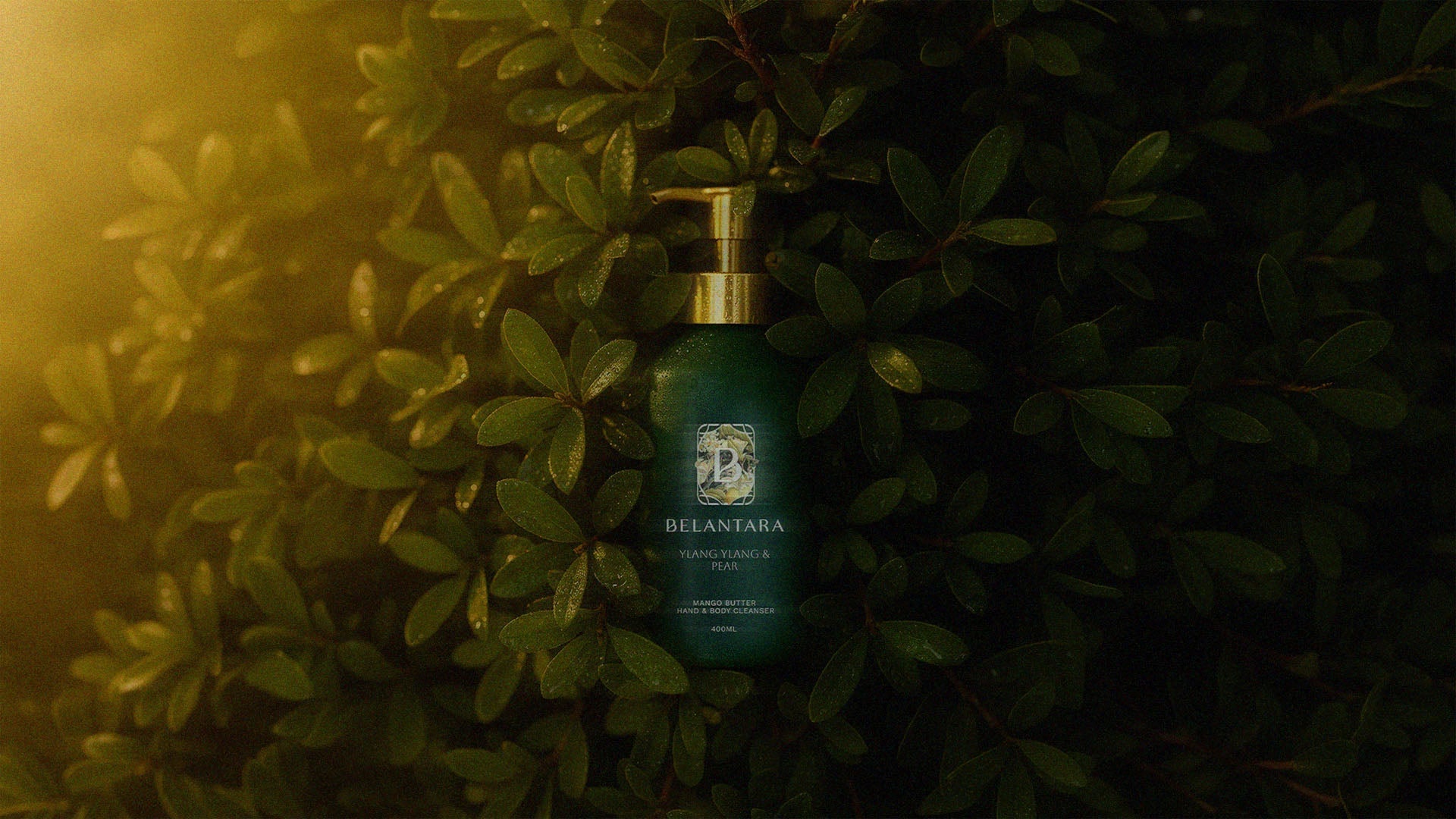 A bottle of Belantara Hand & Body Cleanser in Ylang Ylang & Pear fragrance, surrounded by foliage under the morning sun.