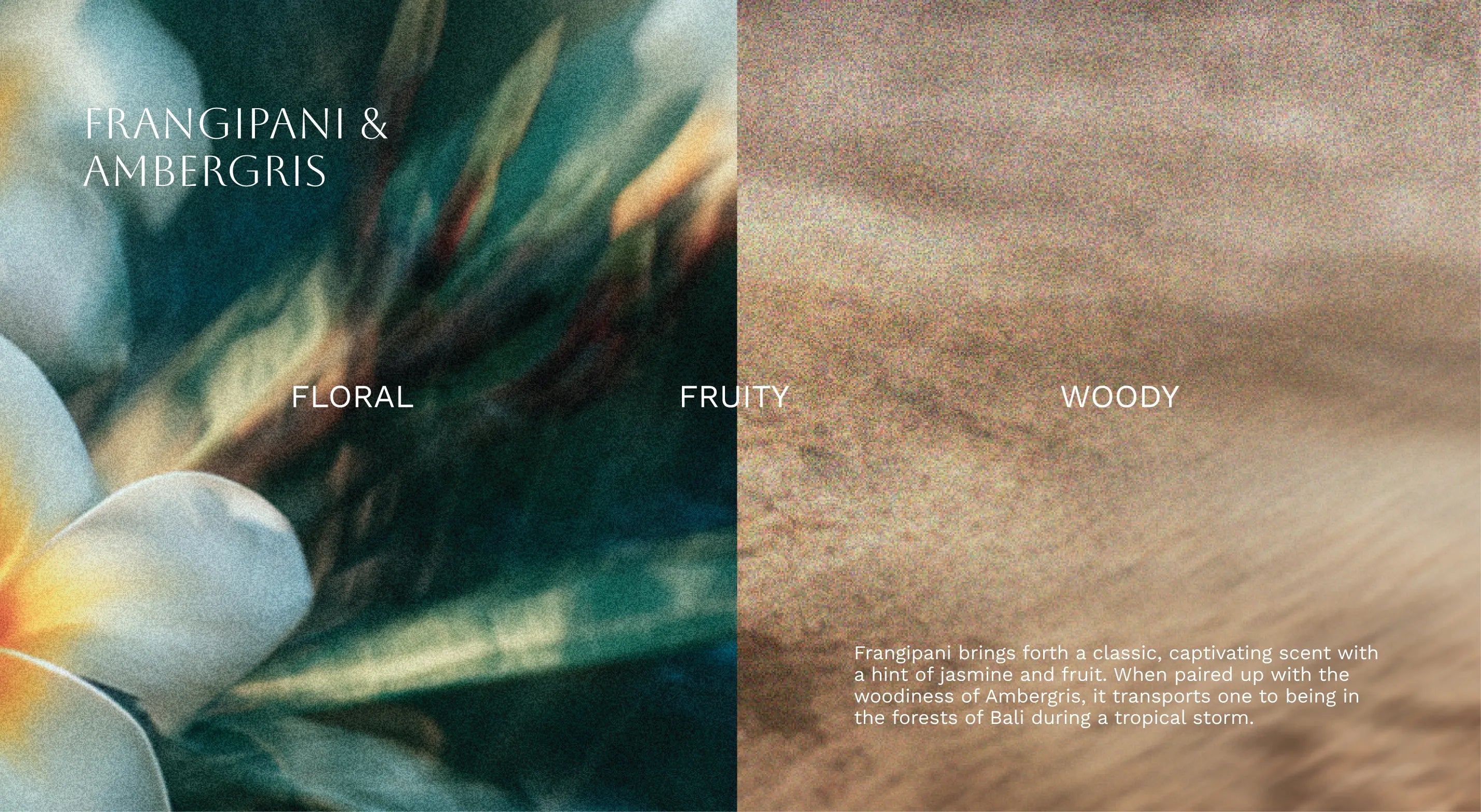 Product packaging with frangipani and ambergris description, featuring floral, fruity, and woody notes.
