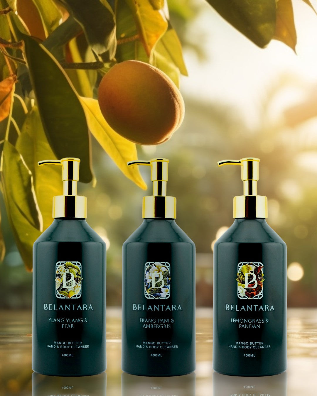 3 bottles of Belantara Mango Butter Hand & Body Cleanser under a mango tree.