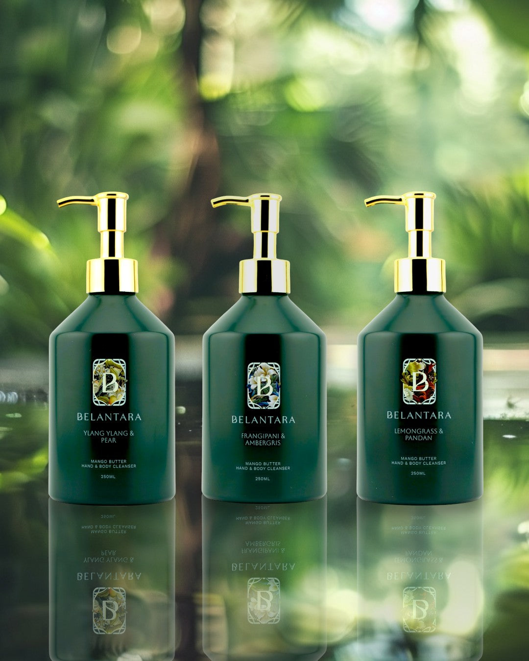 3 bottles of Belantara Mango Butter Hand & Body Cleanser in a tropical rainforest setting.