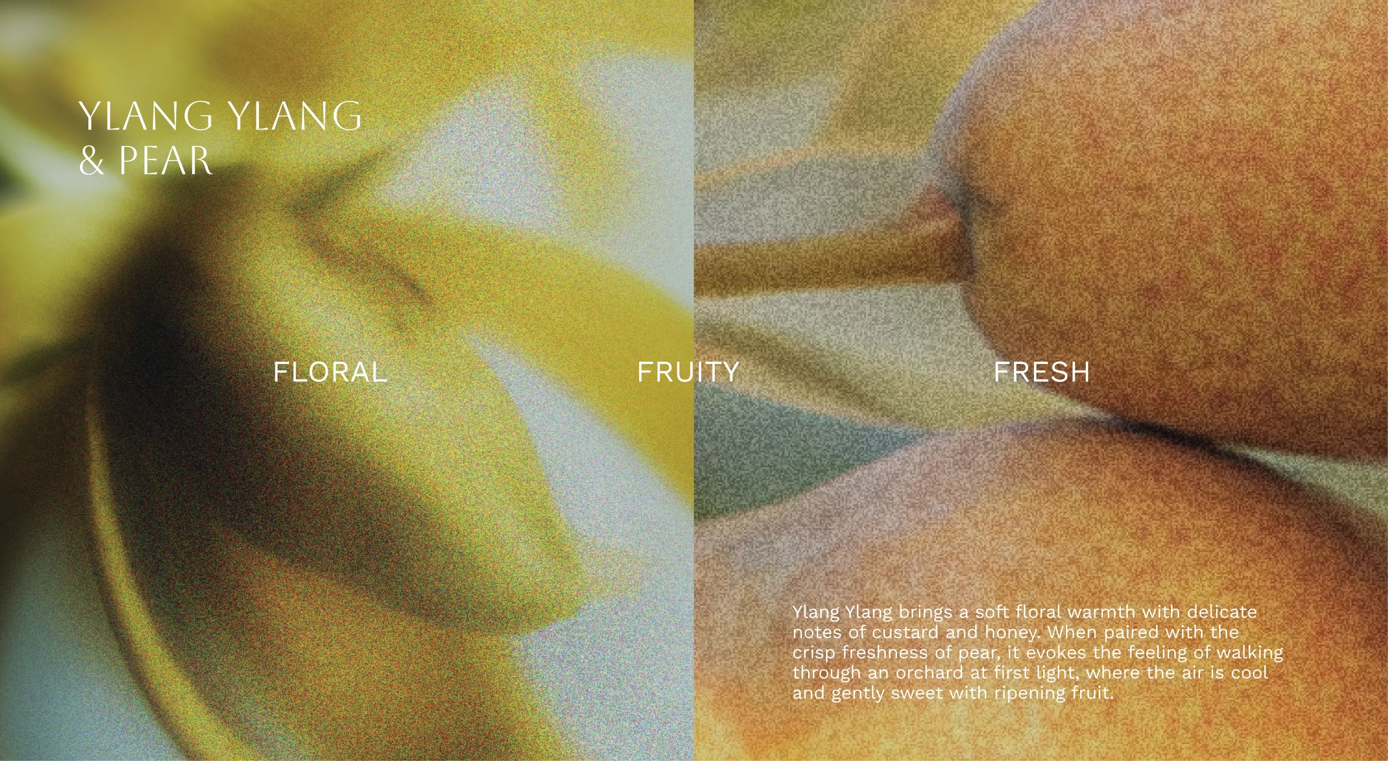 Ylang ylang and pear product description with close-up images and text.