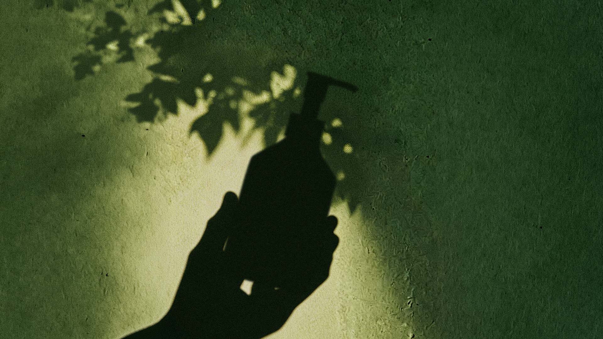 Shadow of a hand holding a Belantara product against a green wall with leaf shadows.